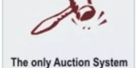 Look at Auction Factory